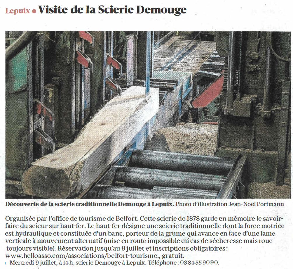 20250704 visite scierie